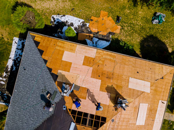 Best Flat Roof Repair Services  in Edgewood, KY